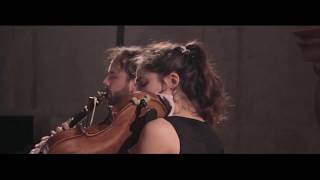 Brahms, Clarinet Quintet op.115 (Tommaso Lonquich, Quatuor Zaïde)
