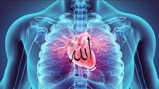 Allah Zikar That Will Clean Your Soul And Heart