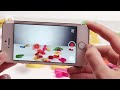 isight
