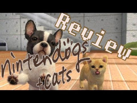how to get more money on nintendogs + cats