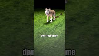 Shy Cat Has An Embarring Poop Moment Funny Animal Animation