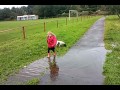 Puddle Jumping and Mad Pup