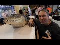 reptileshowtexasstyle