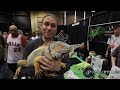 reptileshowtexasstyle