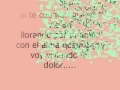 Llorando Por Tu Amor Video preview
