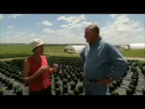 ozark farm and neighbor magazine