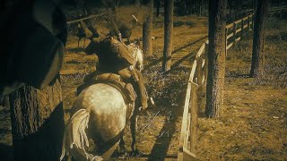 Red Dead Redemption 2 Kovboy Fi̇lmi̇ Tadinda Türkçe Bölüm 30