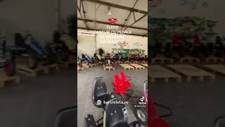 Carturi Cu Pedale Dinocars