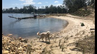 Earth Day Celebration of Kyle Point Shoreline