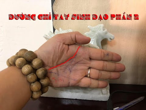 Tất tần tật đường sinh đạo (phần 2)| xem chỉ tay