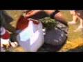 ESCURSIONE BOCCHIGLIERO 1996 2 PARTE video