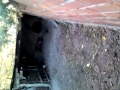 Çocuk köpegi sikiyor
