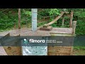 Trip to Plumtree, NC, and my first drone edit