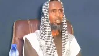 Waa Dhilooyin Waa Dhilooyin Haloo Sheego Dumarka Iyo Ragga Xunxun