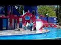 HD Mundo Marino San Clemente del Tuyu Show de lobos focas 3/3 HD
