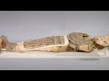 The Mummification Process in Ancient Egypt (Cinematic)