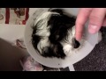 Cone Head images Cone Head
