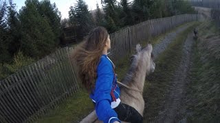 Watch Horse You Are video