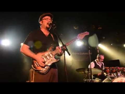 Doghouse Sam & his Magnatones - Fine ain't good enough 2014