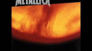 Metallica - Where The Wild Things Are