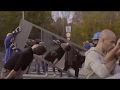 Mayberian Sanskülotts - Magic Brown Sheets | Official Music Video