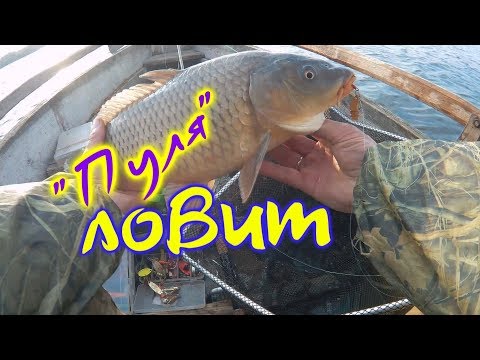 ловля судака на джиг летом с берега ловля судака на джиг летом с берега