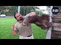 TRY NOT TO LAUGH or SMILE Watching Funny Animals 🐶 If You Laugh You Lose ★43 (Animal Edition)