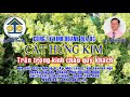 Karaoke Vọng cổ: GIỌT ĐẮNG MEN TÌNH - Dây Đào - Tác giả: Nguyễn Hữu Nghĩa