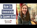 How to Inoculate a Spawn Bag with Agar