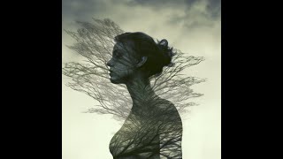 The Traveler (Acoustic) : Ali & the Wild Geese