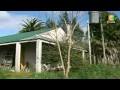 kenyacitizentv