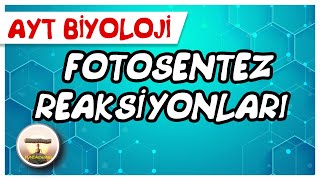 AYT Biyoloji | Fotosentez Reaksiyonları (ışığa bağımlı evre) #sayfa162