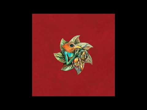 C99 Video
