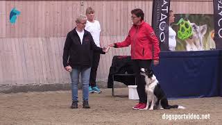 Qualification - Bettina Ogris Basari Of Jennifers Bonfireborder Collie - Austria