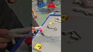 Automatic Chicken Feet Nail Removing Machine Poultry Processing Slaughter Equipment Hw Machinery