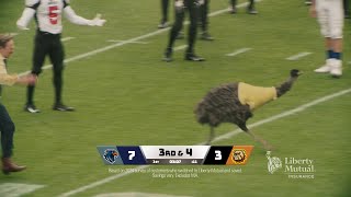 Streaker Short Limu Emu & Doug Liberty Mutual Insurance Commercial