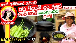 Banana Pepper curry - Maalu miris Apé Amma