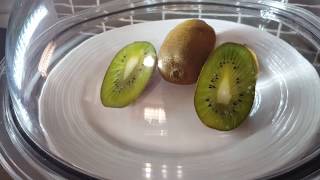 Kiwi in a vacuum chamber