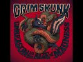 Gimme Some Revolution Video preview