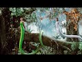 হলিউড একশন মুভি The Sorcerer And The White Snake | Fantasy Movie Explain in bangla | Movie review