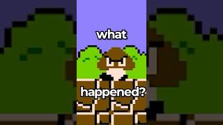 The Goomba Shouldve Never Existed