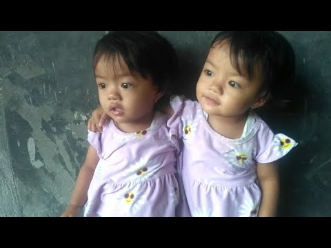 Lucunya anak kembar