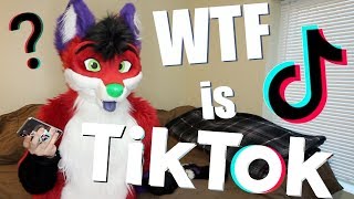 I Don't Understand Furry TikTok
