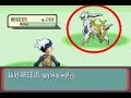 Pokemon Emerald Cheatcodes!! |All About Pokemon