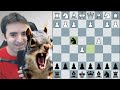 Serious Blitz Chess Spirals Into Chaos