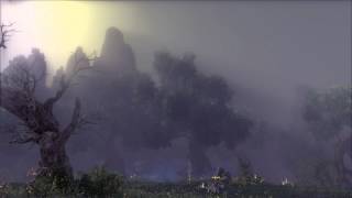 Bns - Music Forest Of The Damned