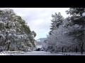 京都・雪の京都御所