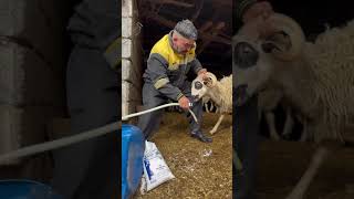 Tuz Ve Su Neden Acaba