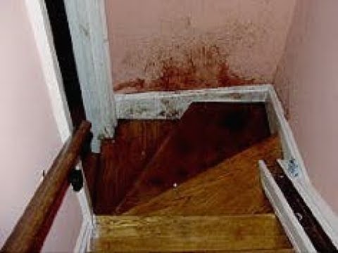 The Staircase: My Initial Thoughts The Staircase: My Initial Thoughts
