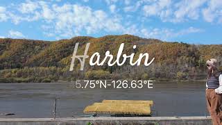 Autumn In Harbin-4K